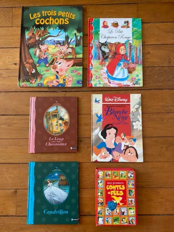 Lot 6 livres contes chaperon rouge cochons blanche neige cendrillon chevreaux