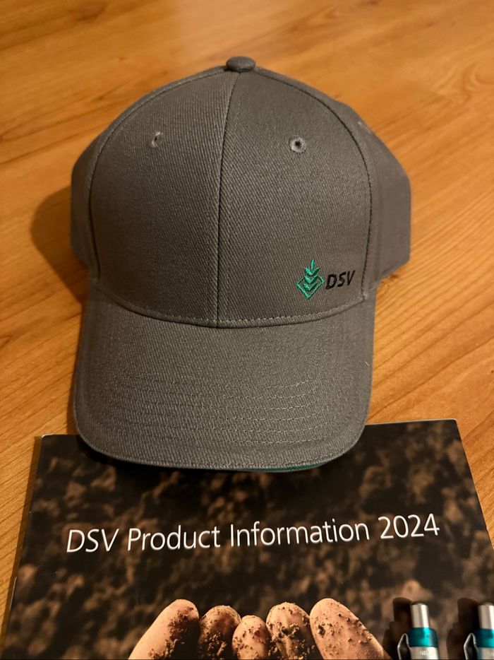 Lot casquette et crayon DSV - photo numéro 3