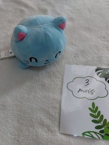 Peluche chat