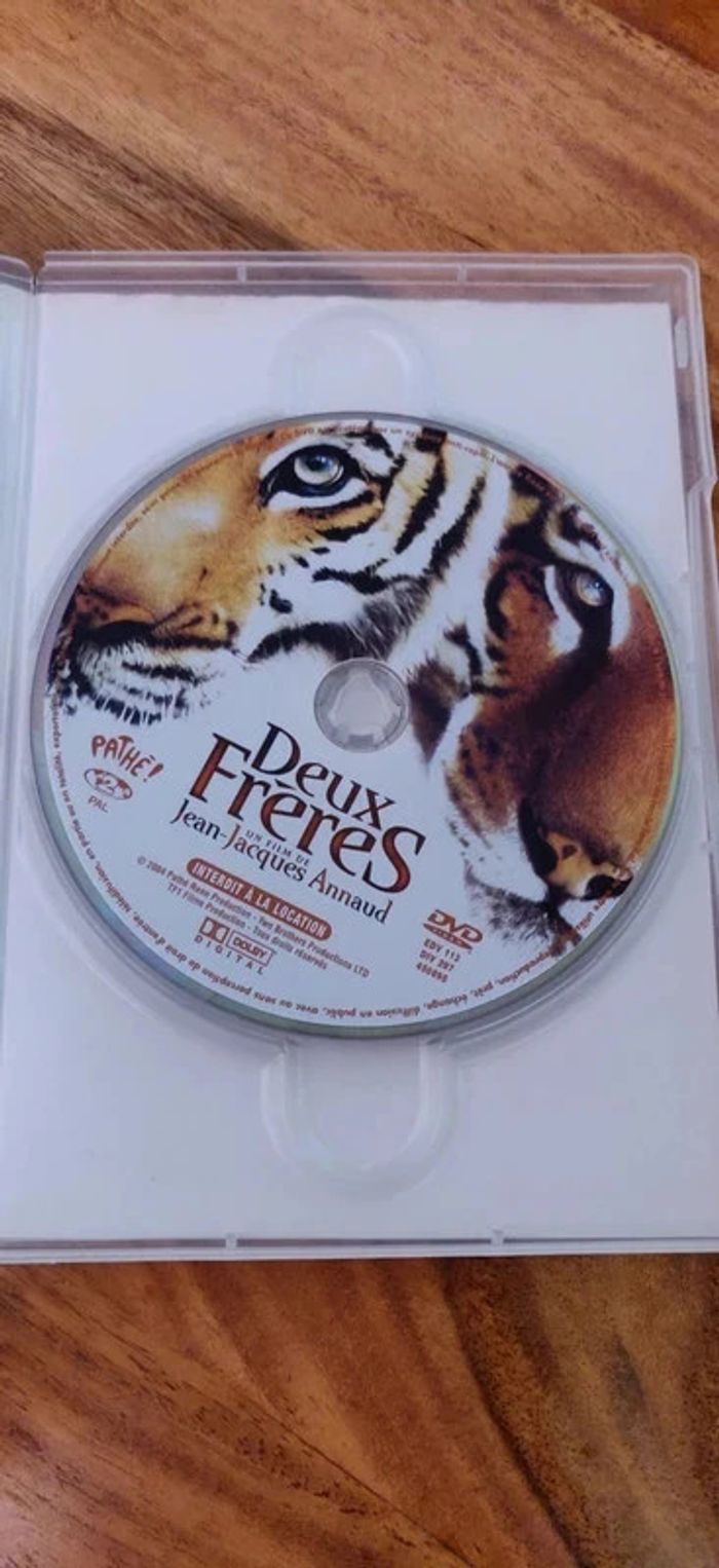 Dvd Deux frères - Jean-Jacques Annaud - photo numéro 3