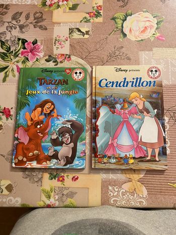Livre disney