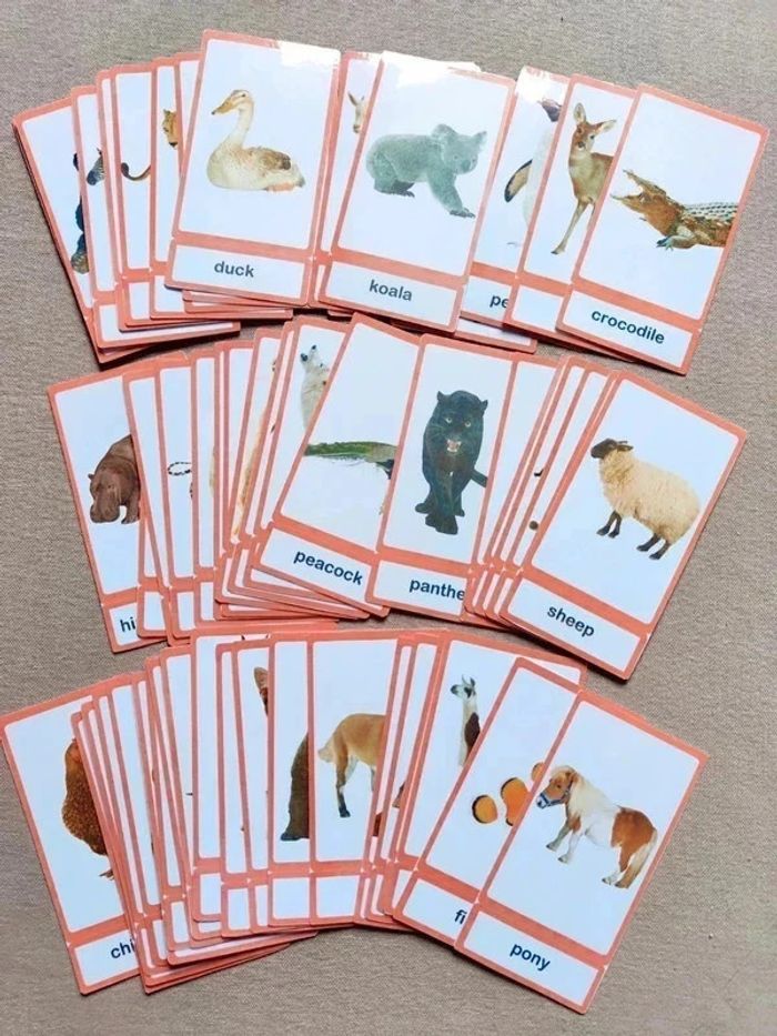 Lot de 56 cartes de nomenclature sur les animaux en Anglais Montessori - photo numéro 3