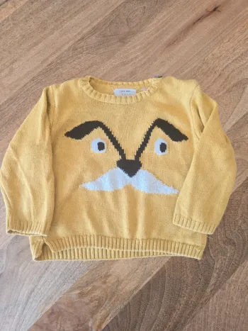 Pull Zara baby