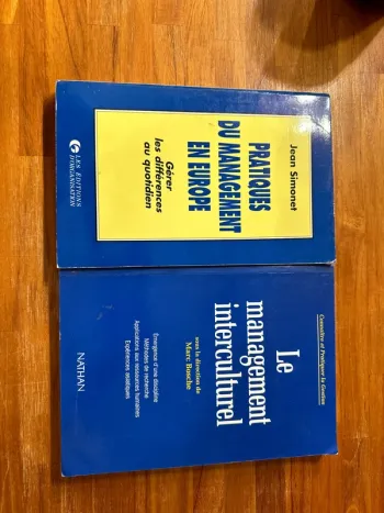 Lot de deux livres sur le management