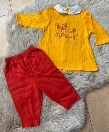 Ensemble simba