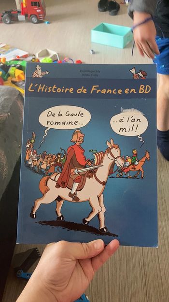 L'histoire de la France en BD