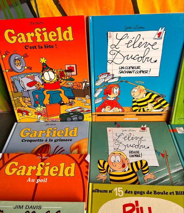BD Boule et bill, Garfield, Ducodu - photo numéro 4