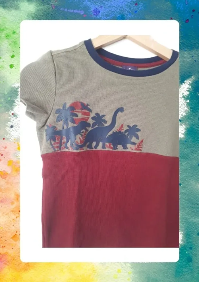 Tshirt dinosaures 9 ans - photo numéro 2