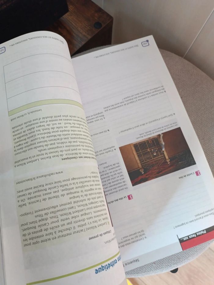Cahier livre français bac pro 3 ans seconde professionnelle - photo numéro 6
