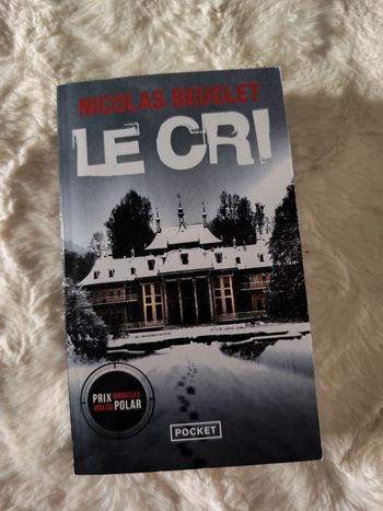 Le cri Nicolas Beuglet 