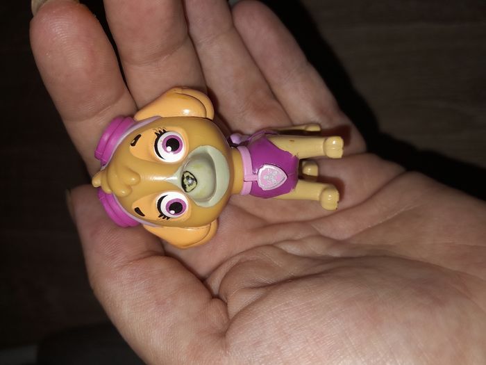 Pat patrouille - photo numéro 6