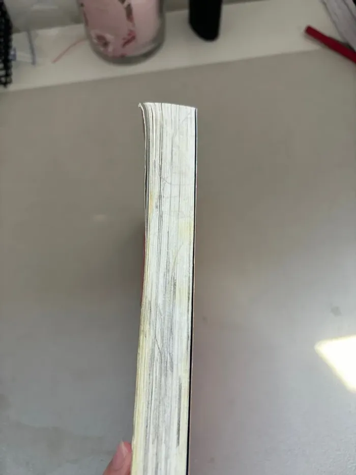 Livre journal d’un dégonflé tome 1 - photo numéro 4