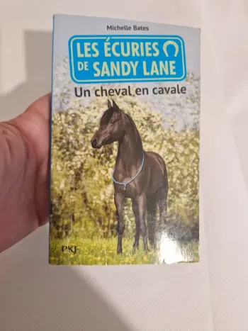 Les Écuries de Sandy Lane – Un cheval en cavale Michelle Bates 9782266260015