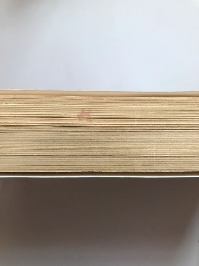 Livre « Schattenfreundin » de Christine Drews - photo numéro 3