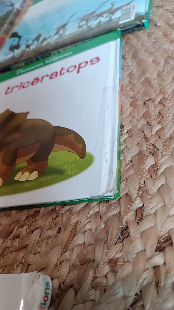 Lot de livres éducatifs sur les dinosaures - photo numéro 8