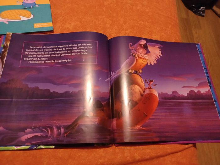 rio 2 un talent sauvage - photo numéro 3