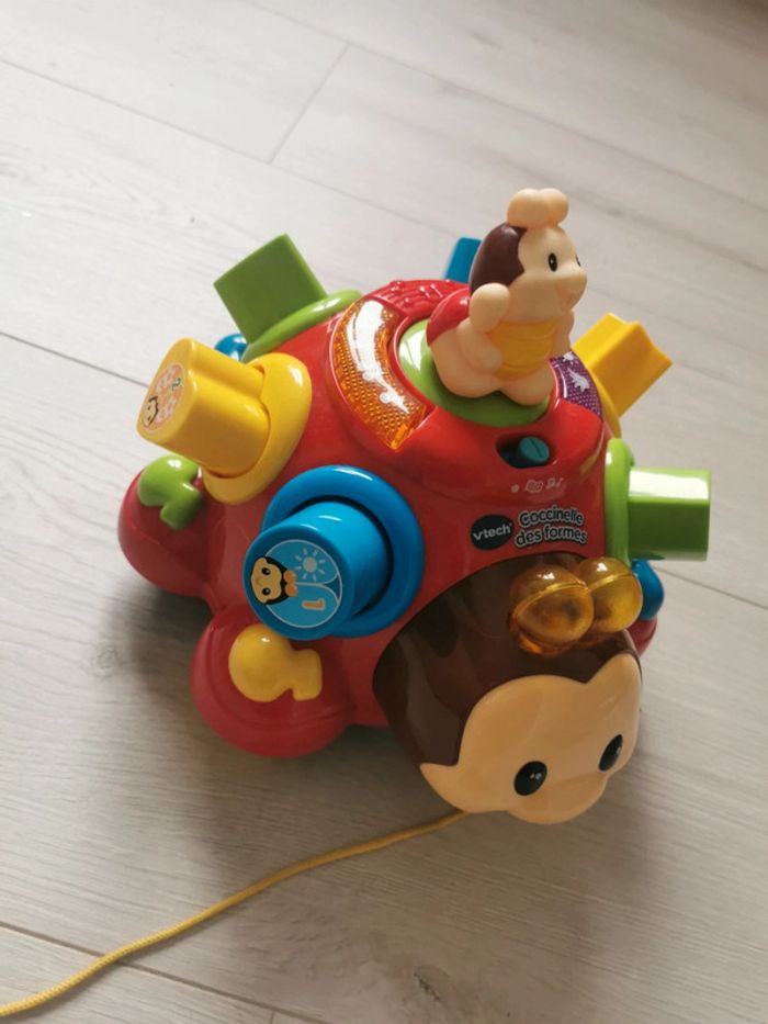 Coccinelle des formes - photo numéro 2