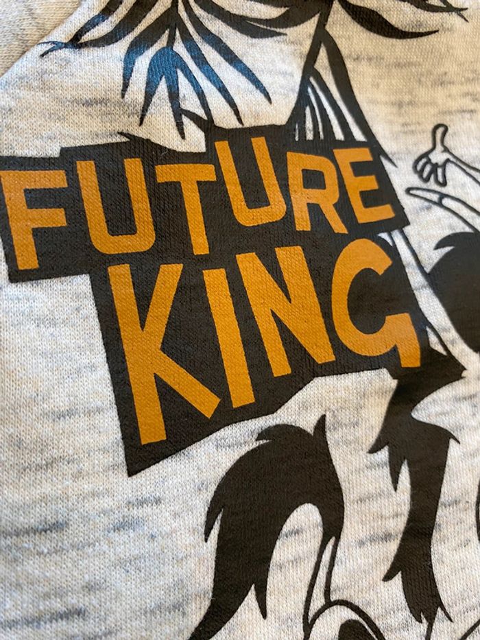 Pull 9/12 mois - photo numéro 3