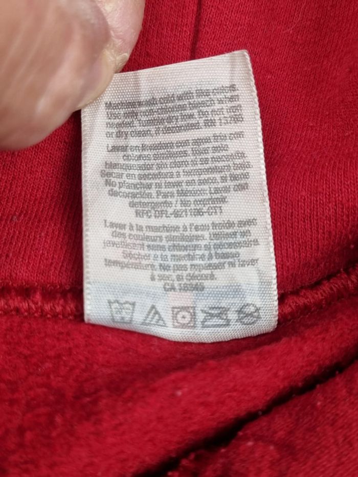 Pull à capuche universitaire Indiana Jerzees – Taille L Homme (mesures en photos) - photo numéro 6