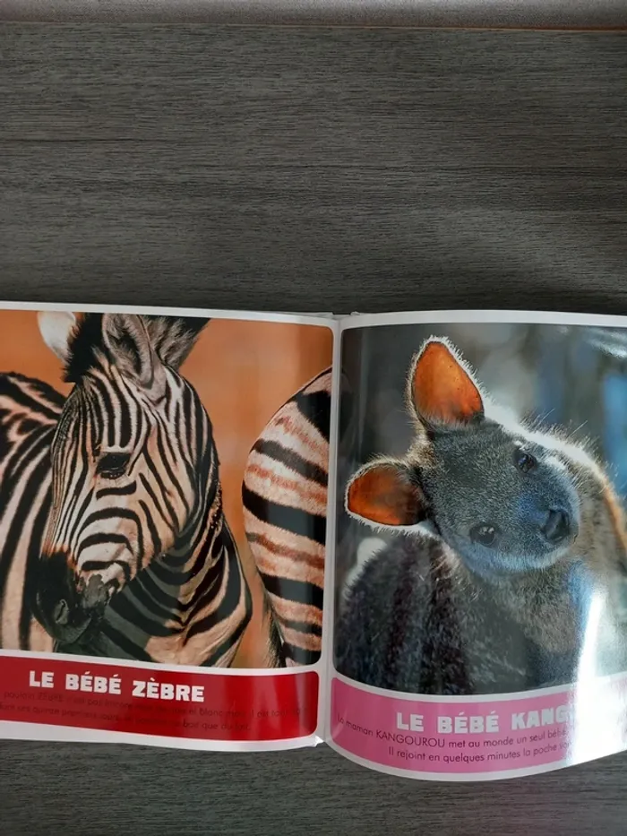 Livre Les Bébés Animaux Sauvages TBE - photo numéro 4