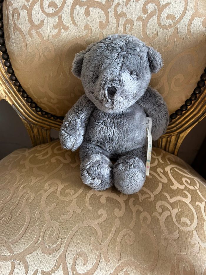 Petit ourson gris - photo numéro 11