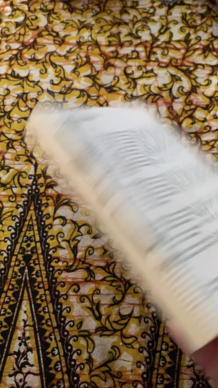 Le pingouin - photo numéro 4