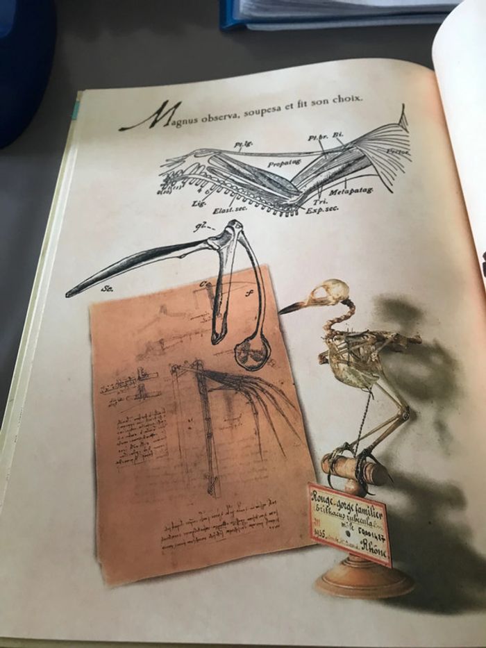 Livre Comme une soudaine envie de voler - photo numéro 6