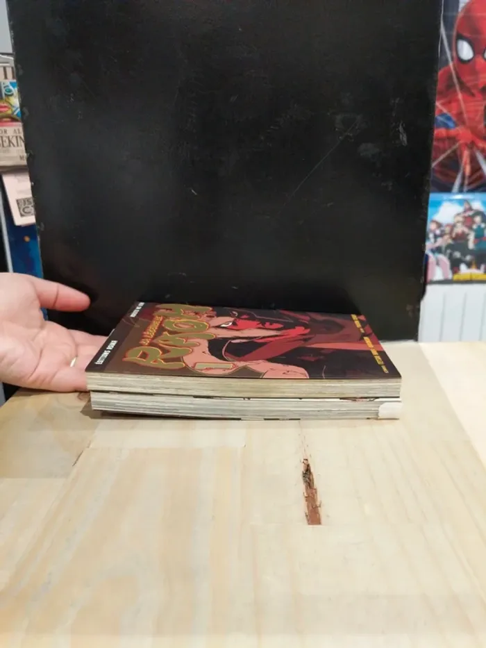 Lot La Légende de Raoh – Tomes 1 & 2 - photo numéro 3