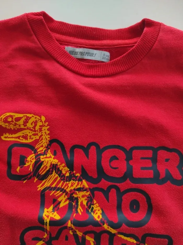 Pull léger dinosaure - photo numéro 2