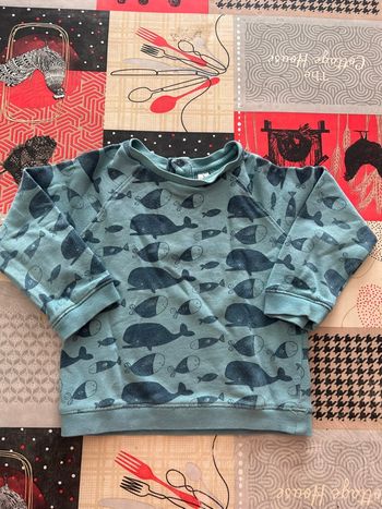 Pull garçon 18 mois