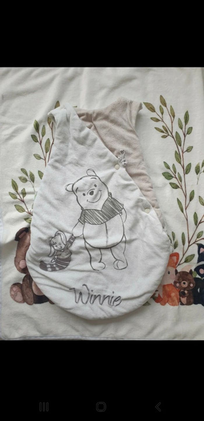 Gigoteuse winnie 0-3 mois