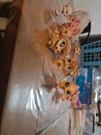 Lot petshop
