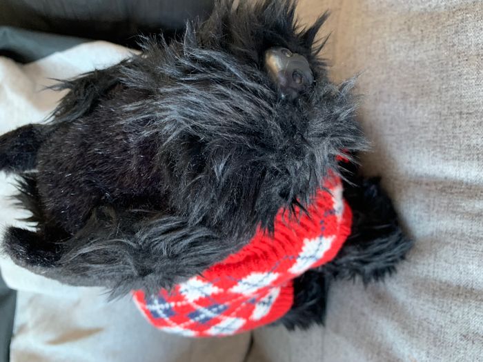 Peluches chien noir avec tricot - photo numéro 2