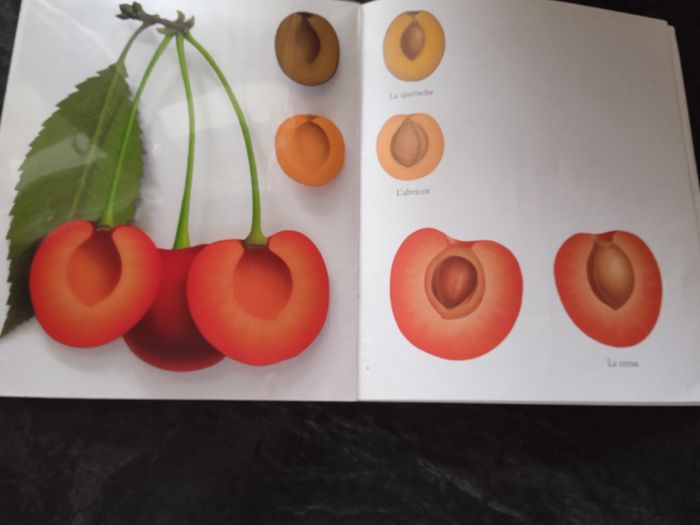 Mes livres magiques cache cache avec les fruits du jardin - photo numéro 9
