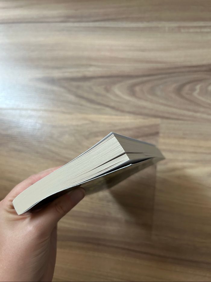 Livre de Shari Lapena «L’étranger dans la maison» - photo numéro 6