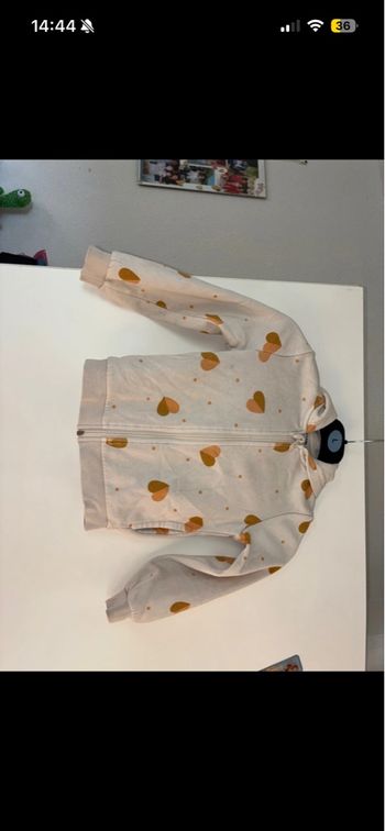 Veste