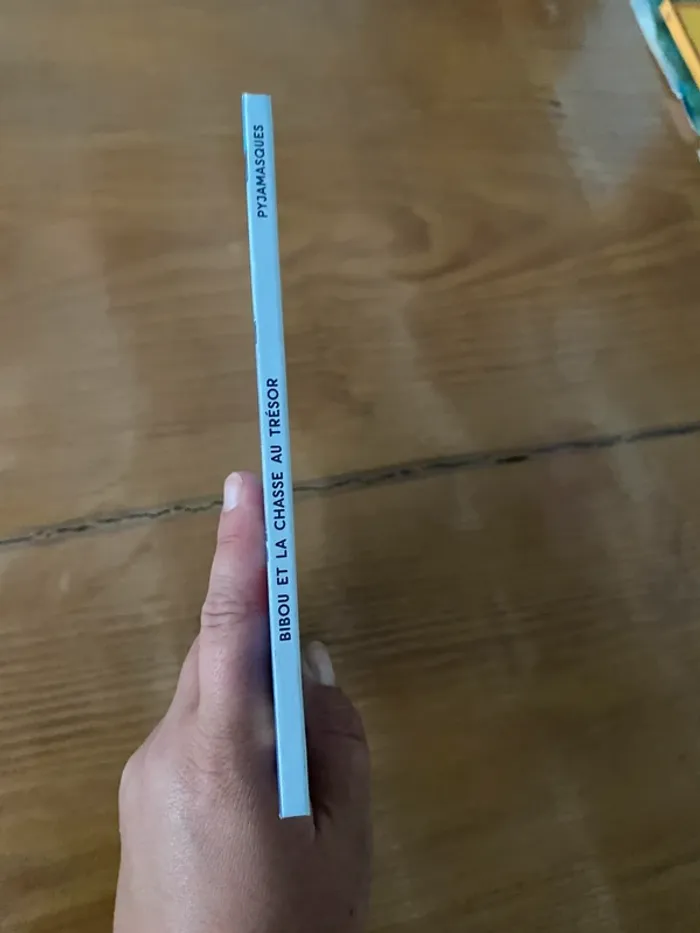 Livre pyjamasque - photo numéro 2