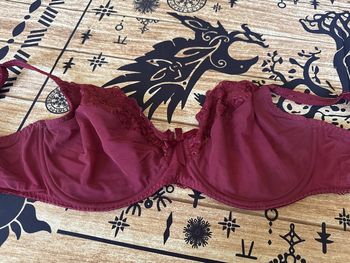 Soutien gorge grande taille