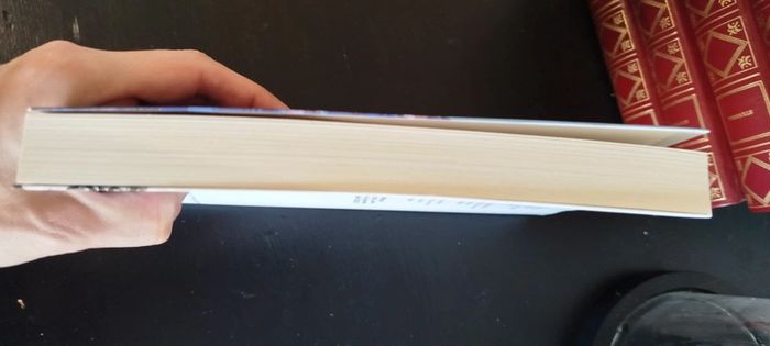 Le château des rentiers livre grand format - photo numéro 6