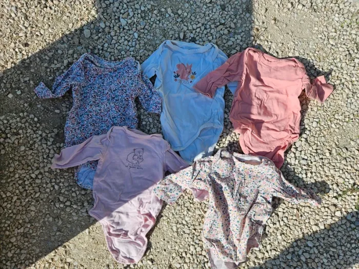 5 bodys 9 mois - photo numéro 2