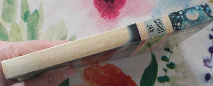 Terreur sur Izaad de Gabriel Jan Ed. Fleuve Noir - photo numéro 4