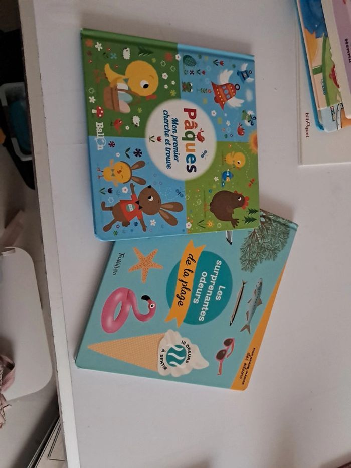 Lot 2 livres imagier et cherche et trouve