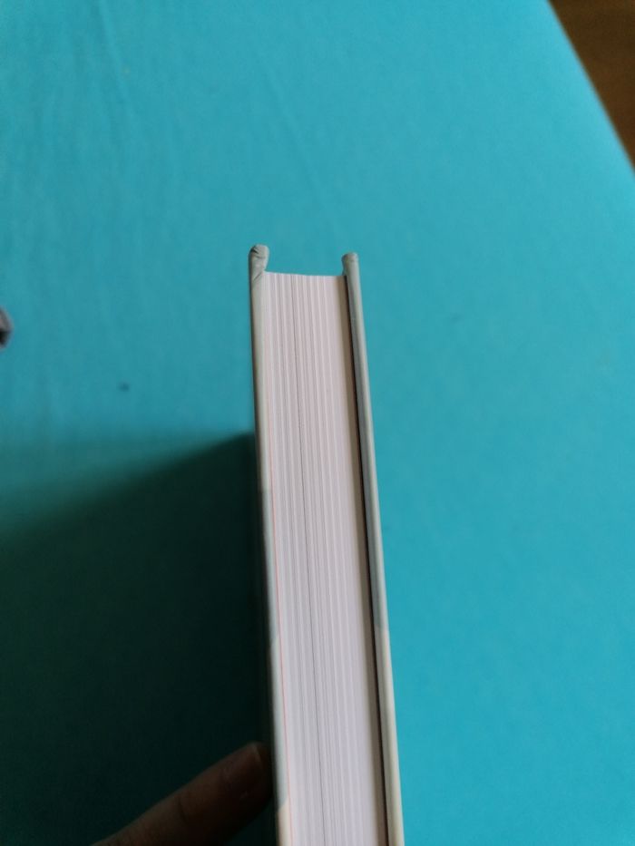 Clara et les ombres - photo numéro 5