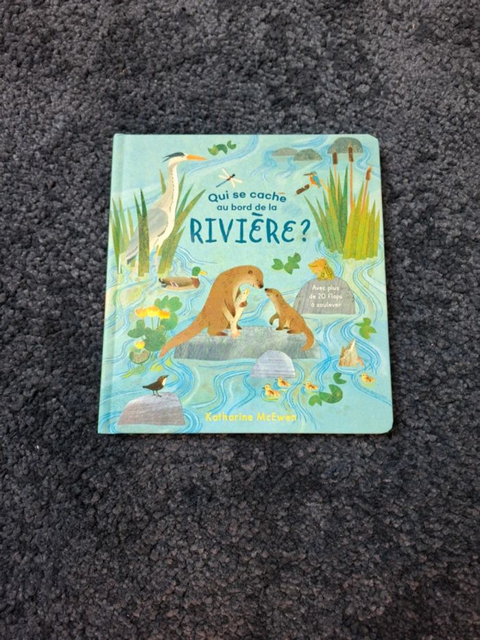 Livre caché