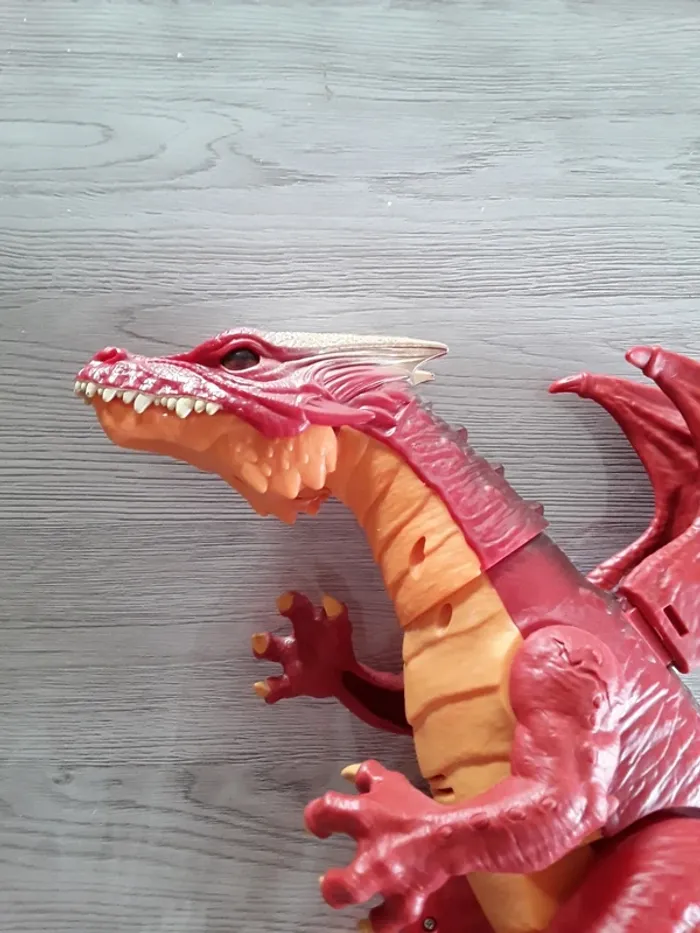 Dragon interactif - photo numéro 3