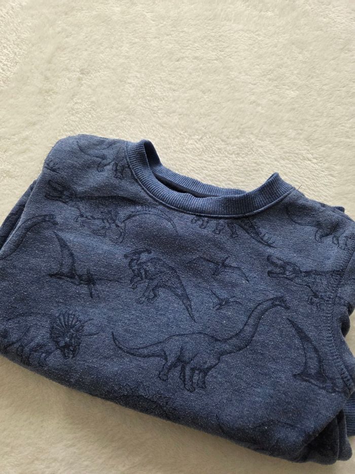 Pull dinosaures - photo numéro 2