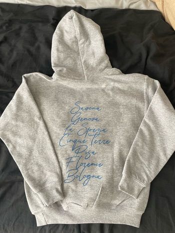 Sweat capuche gris avec écriture bleu