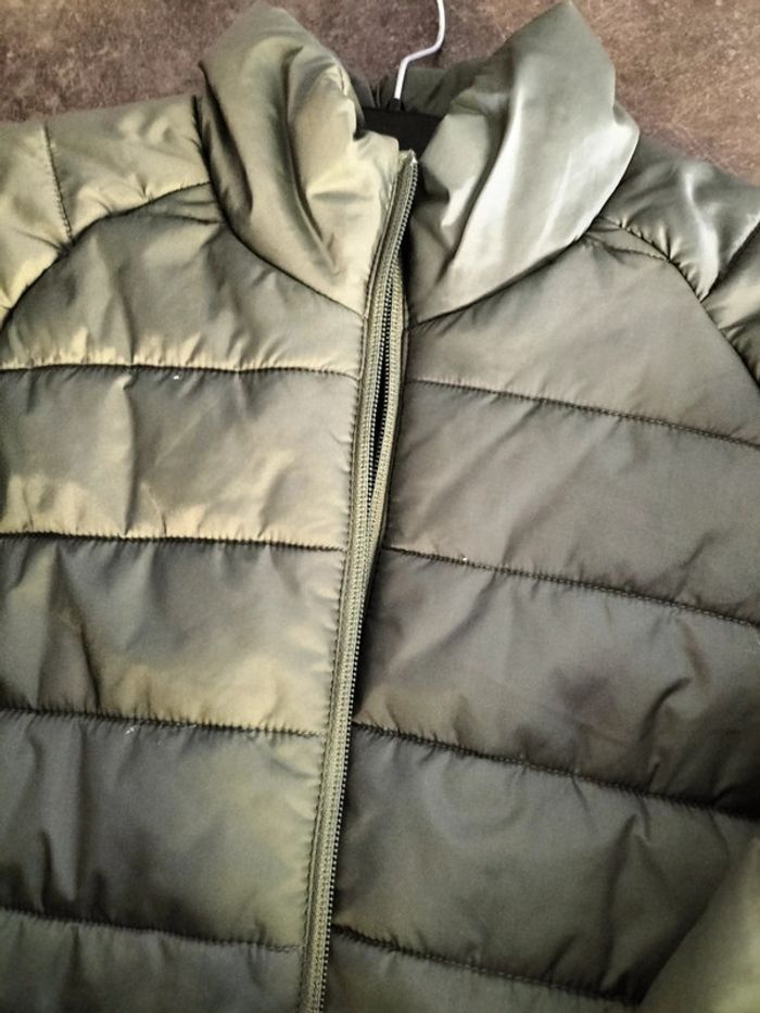 Blouson kaki 14ans Esprit - photo numéro 2