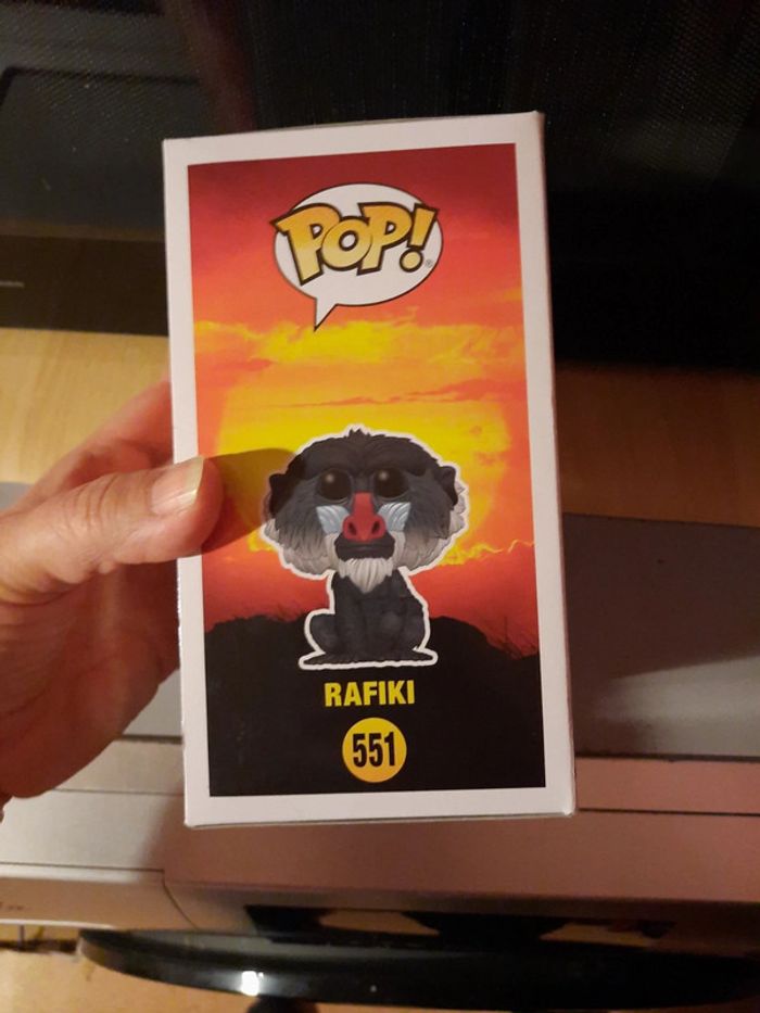 Rafiki 551 - photo numéro 8