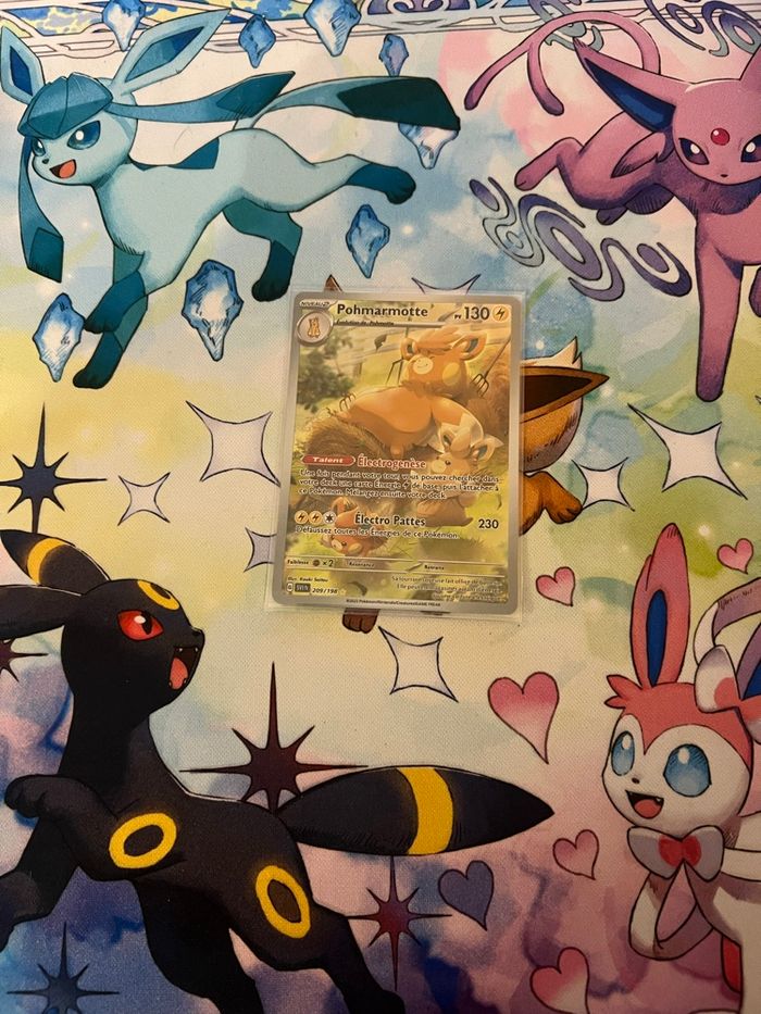 Pohmarmotte (SVI 209) Écarlate et Violet